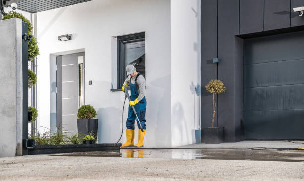 Best Roof Cleaning and Mildew Removal in Streamwood, IL